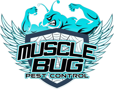 The Fine Touch PMU Makeup & Eyelashes