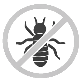 termites pest control