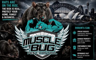 Rodent Plague in Sydney, Australia: Risks, Reality, and Response