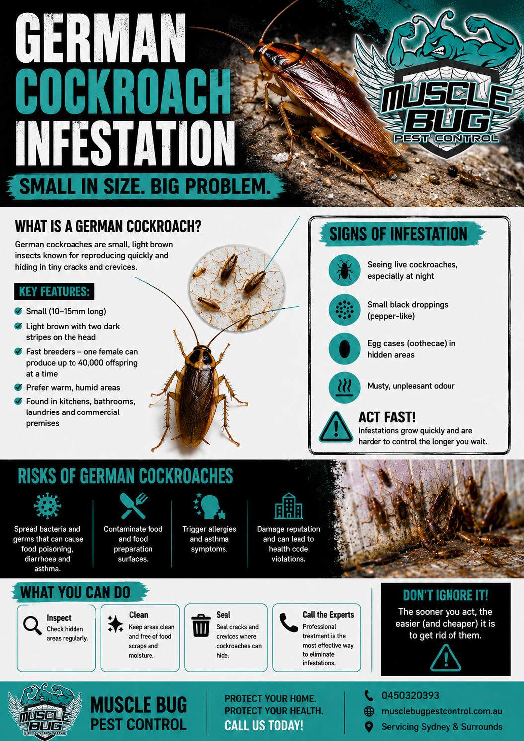 MuscleBugPestControl German Cockroach Poster PM