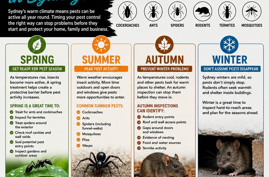When Is the Best Time to Carry Out Pest Control?