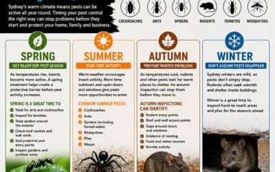 When Is the Best Time to Carry Out Pest Control?